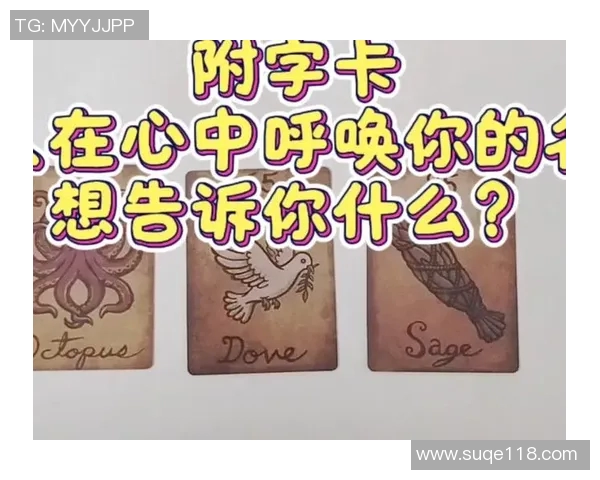 细数那些名字里带卡字的足球巨星及他们的绿茵传奇故事